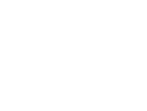 Izdelava industrijske lesene embalae:  - proizvodnja palet za enkratno uporabo- izdelava lesenih palet po naroilu - zabojaste palete in druge nakladalne ploe iz lesa   - izdelava lesenih podstavkov za transport blaga- izdelava lesenih zabojnikov